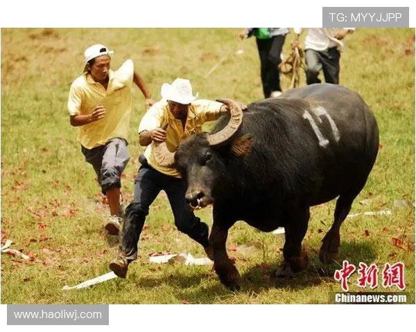 多特蒙德迎战劲敌全力出击 决战赛场誓夺三分冲击榜首位置