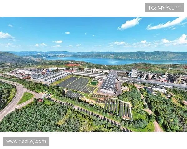 山西汾酒股份创新发展路径探索与市场竞争力提升策略分析