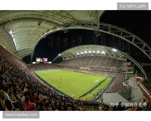 谢晖：从球场拼搏到教练席智慧的转型与中国足球的未来探索