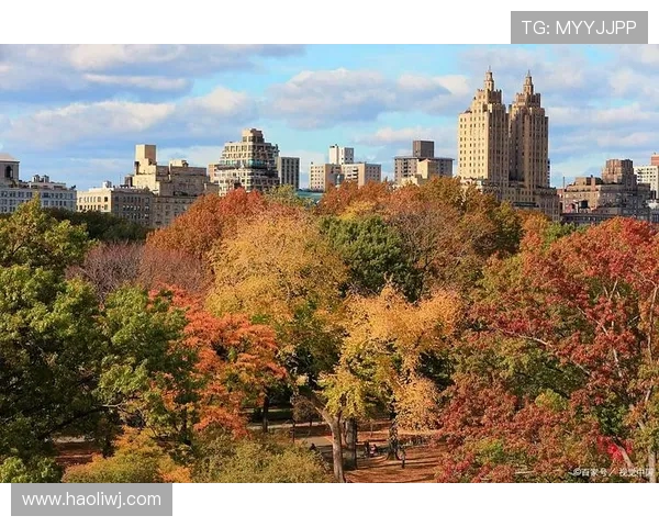 以利物浦为中心的文化与历史探索之旅全景呈现