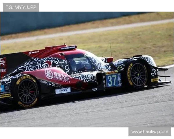 上海排球队耐力革命引发热议重塑竞技新风貌