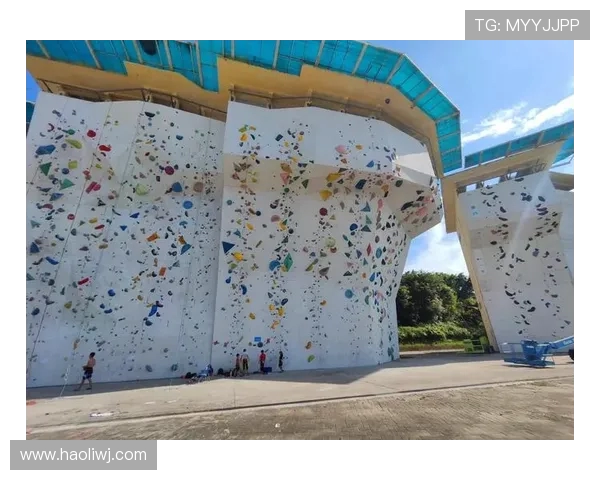 广州攀岩队的力量与激情：聚焦攀岩运动的成长与挑战