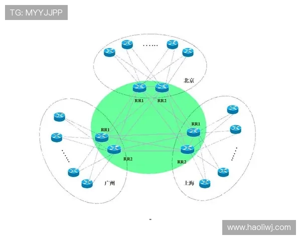 武汉羽毛球队运营分析:成功经验与发展挑战的深度探讨 武汉羽毛球队运营分析:成功经验与发展挑战的深度探讨