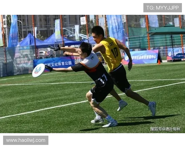 赛后分析：上海飞盘队与北京飞盘队的竞技状态与表现对比