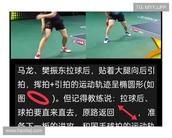 重庆乒乓球队的节奏与战术分析探讨乒乓球运动的未来发展方向