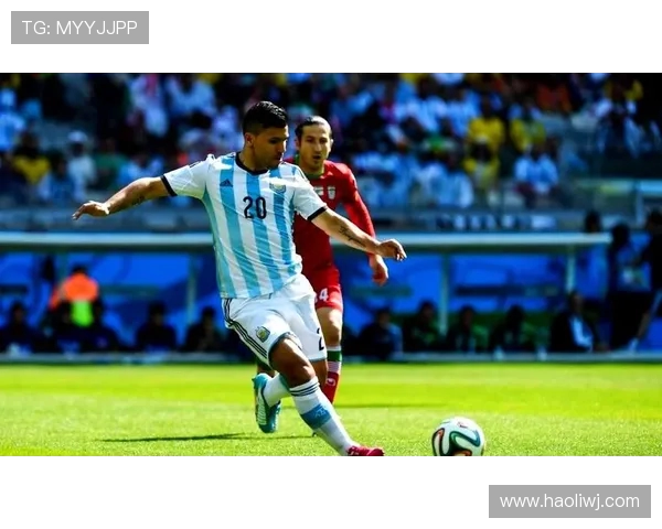 世界杯荣耀之路：从历史到未来的赛场传奇与球迷心声