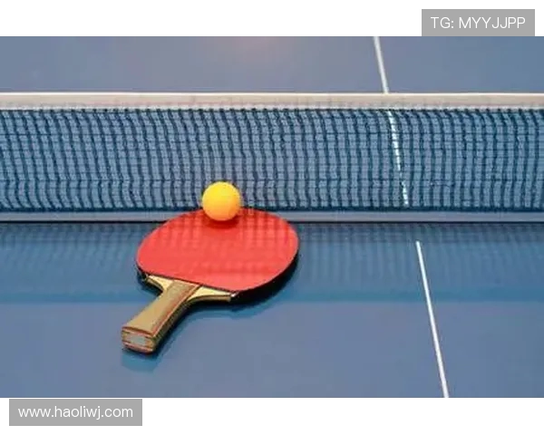 乒乓球运动的魅力与技巧探秘：从基础知识到进阶训练全面解析